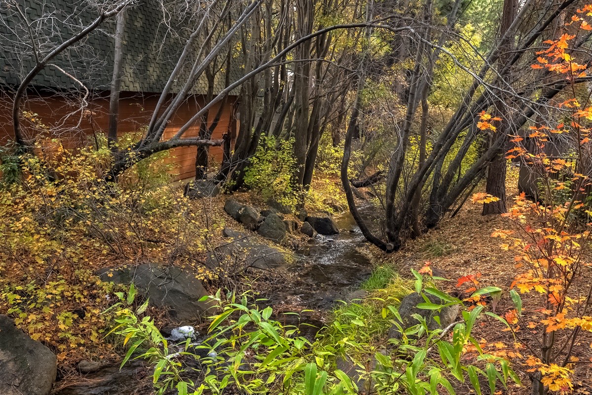 The creek outside your window hums a quiet rhythm, blending with rustling aspens to turn every morning into your own Tahoe meditation.
